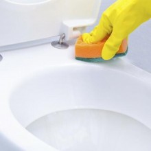 TQ WC Active - Limpiador antical y antisarro para WC