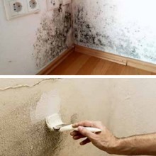 TQ Revetec Antimoho 5/20kg - Pintura impermeabilizante mate para tratamiento de hongos y halgas en muros y paredes interiores