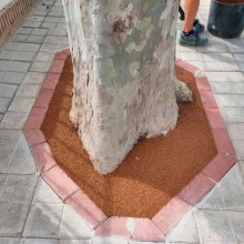 TQ Gravafix 10kg - Resina acrílica aglutinante y fijadora de gravas, triturados de mármol y otros áridos