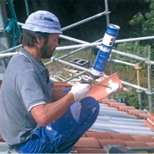 TQ Politeja Pistola / Cánula 750ml - Espuma de poliuretano monocomponente de expansión controlada, especial para tejas