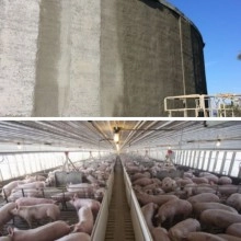 TQ Mortero Junta Flexible 10kg - Mortero elástico e impermeable para reparar juntas sumergidas, húmedas o de dilatación