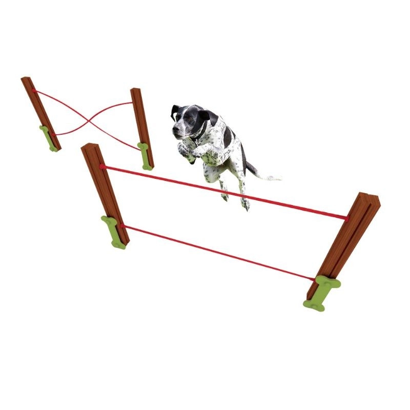 Valla de salto y equilibrio Agility dos niveles