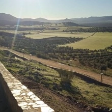 TQ Luminaria Solar Tulipán - Luminaria led 15W, 1950lm, luz cálida 3000K o fría 6000K, 65cm altura, Ø51cm