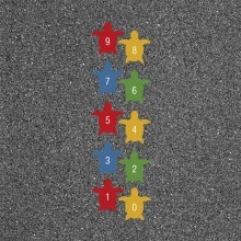 TQ COLORPLAY TORTUGAS